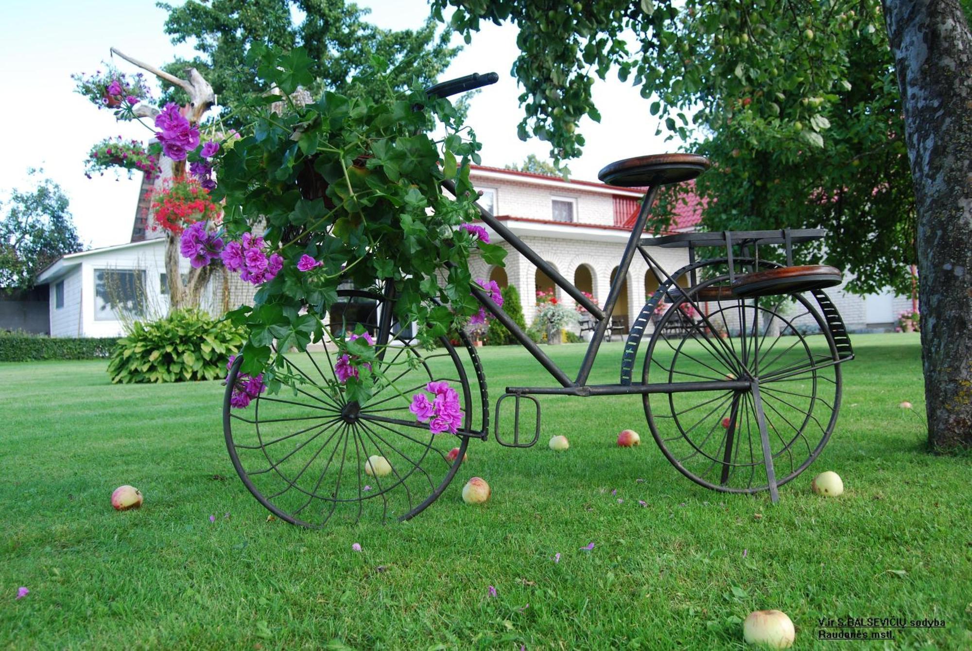 Stasio Balseviciaus Homestead Raudone Екстер'єр фото